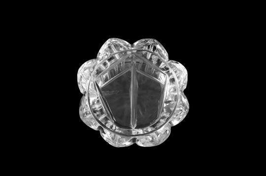 Sphatik Crystal Laxmi Charan - 22 gms - I