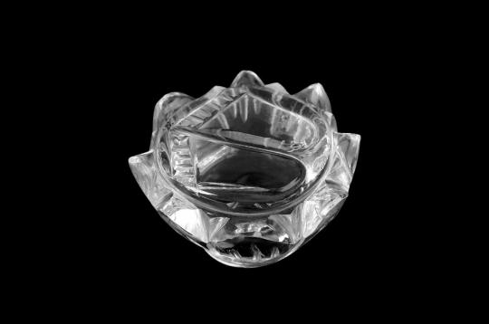 Sphatik Crystal Laxmi Charan - 24 gms