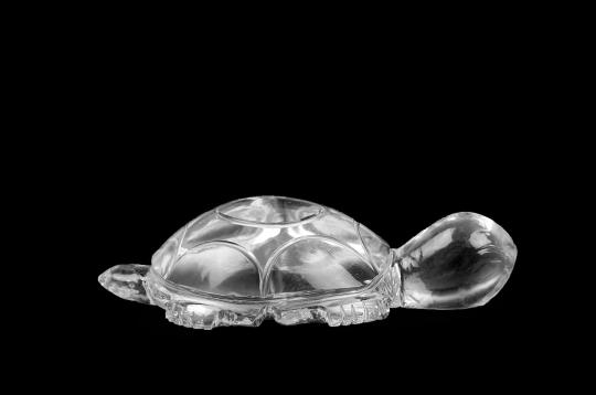 Sphatik Turtle (Kurma) - 49 gms