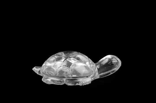 Sphatik Turtle (Kurma) - 76 gms