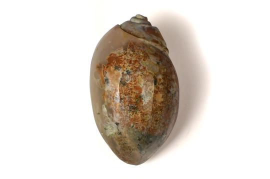 Sunanda - The Goddess Who is with Happiness