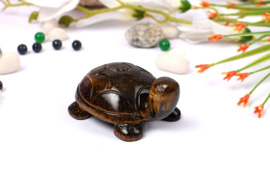 Tiger Eye Kurma