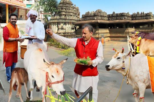 Gausat Daan - Donate 100 Cows
