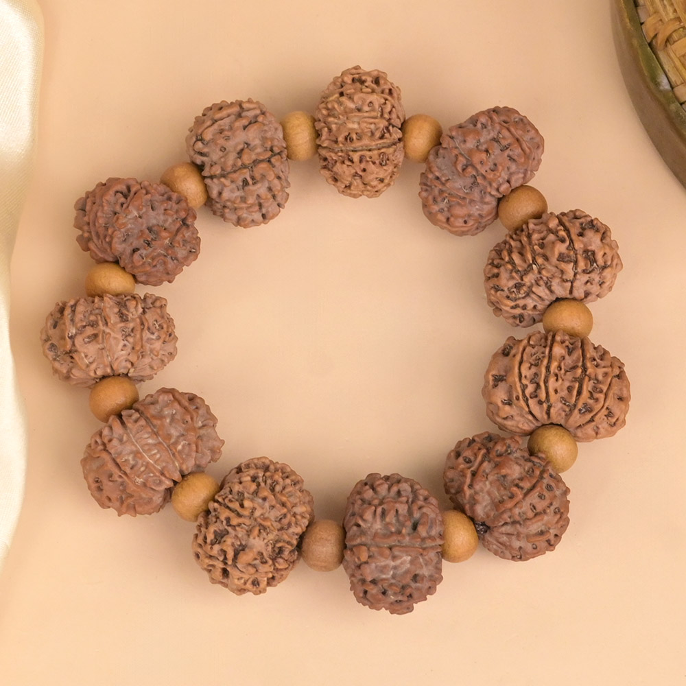 12 Mukhi Rudraksha Bracelet