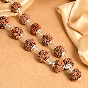 6 Mukhi Rudraksha Mala