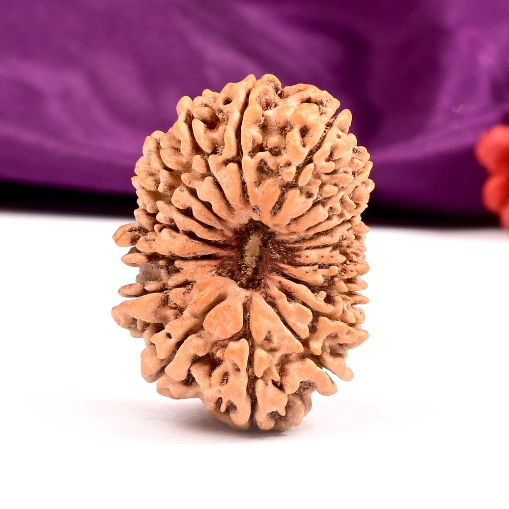 Collector Eighteen Mukhi V