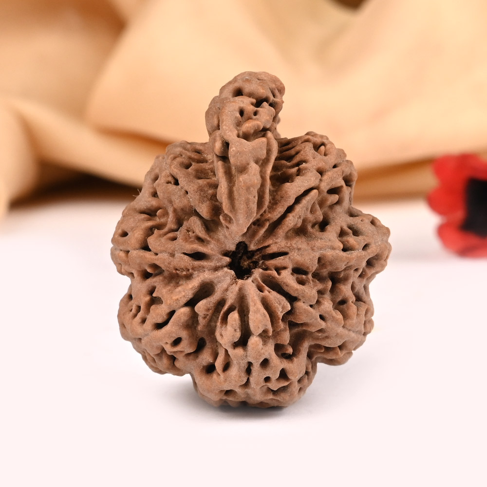 Super Collector Savar Naag Rudraksha VII