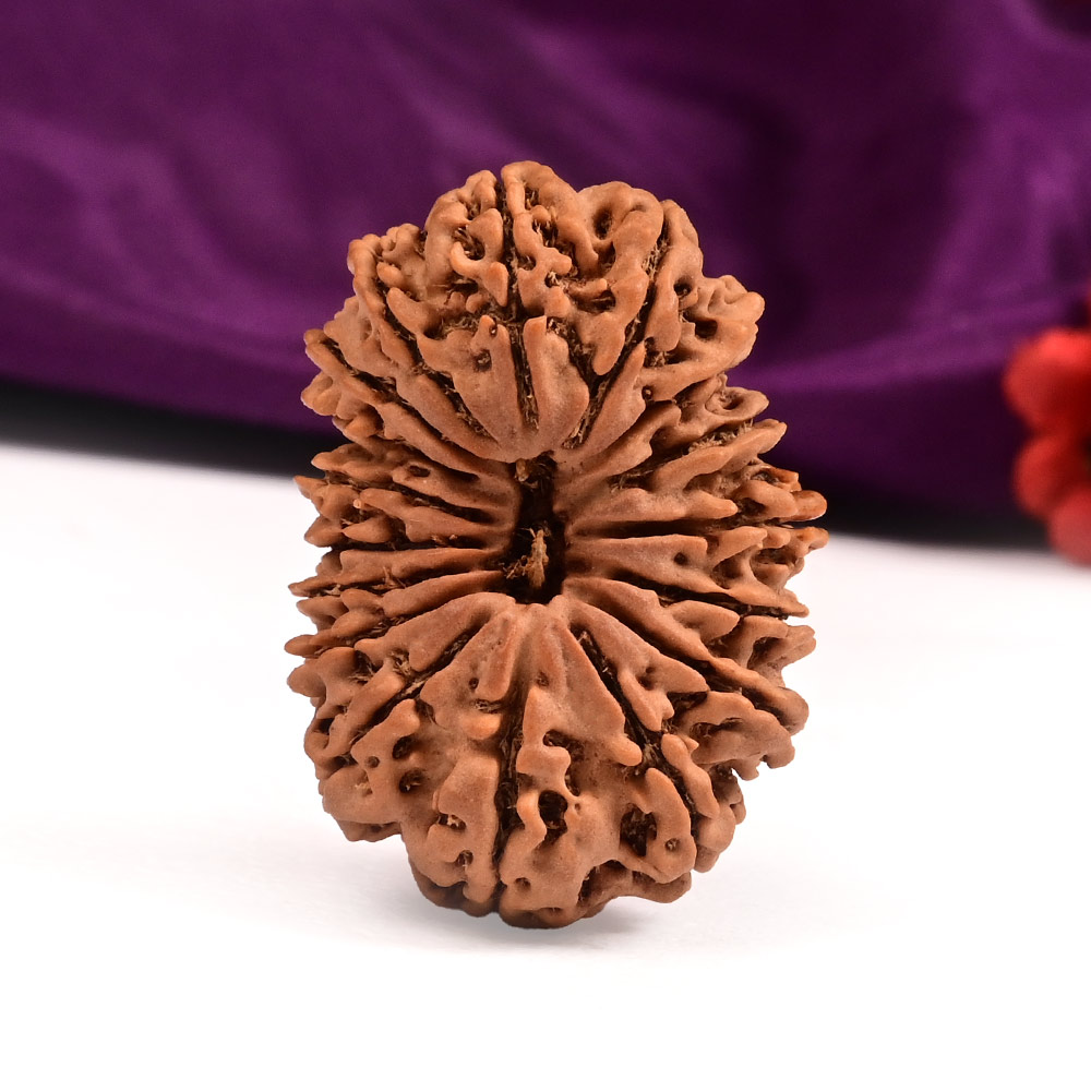 Collector Seventeen Mukhi from Nepal LXI