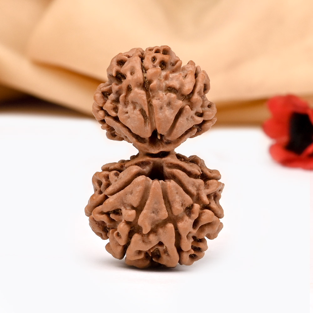 Collector Garbh Gauri from Nepal IV