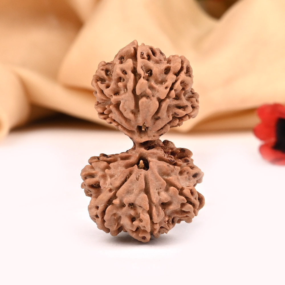 Collector Garbh Gauri from Nepal VII