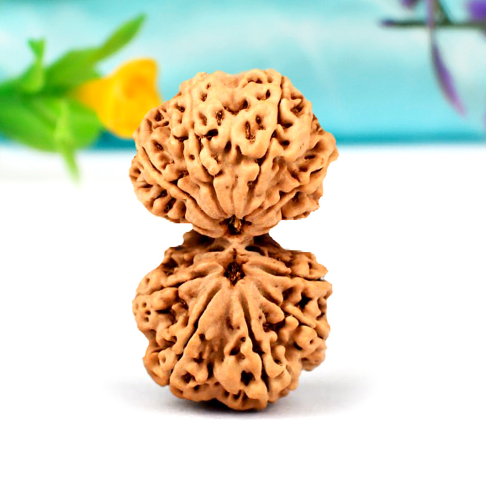 Collector Gauri Shankar from Nepal