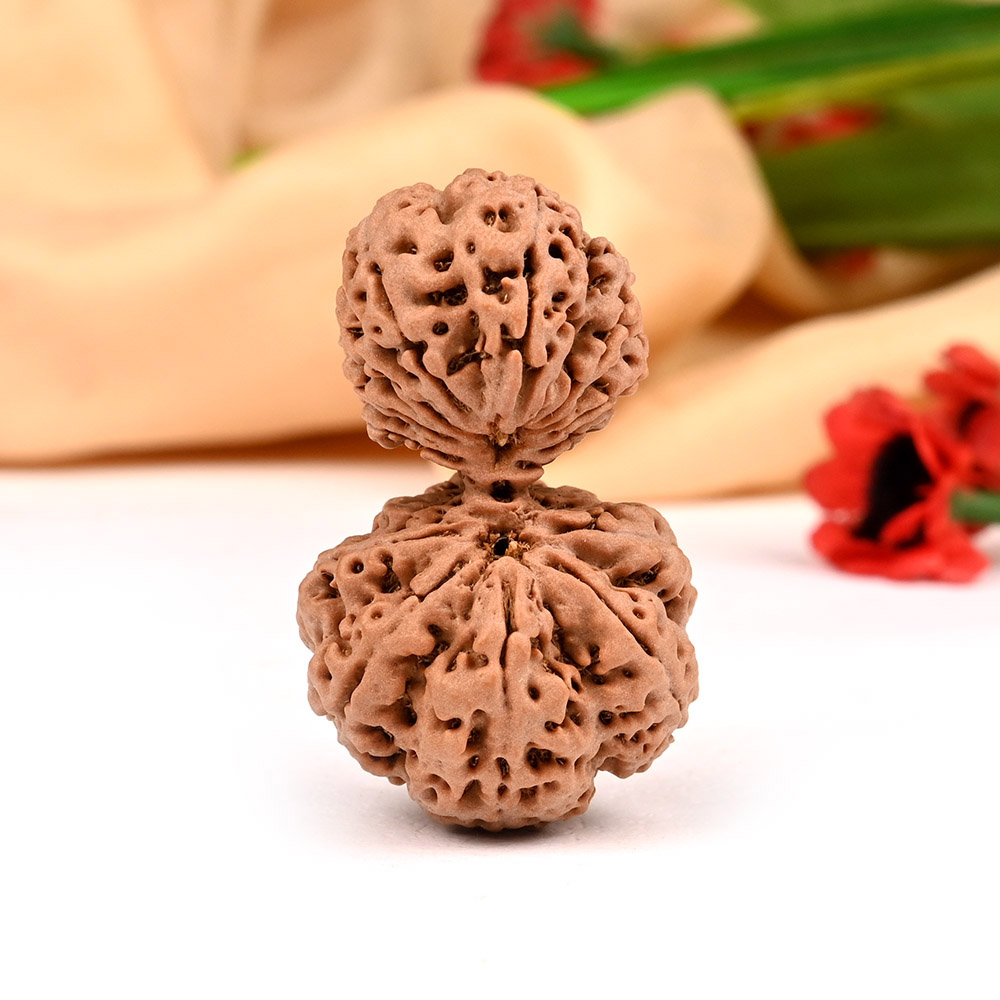 Collector Garbh Gauri from Nepal IX