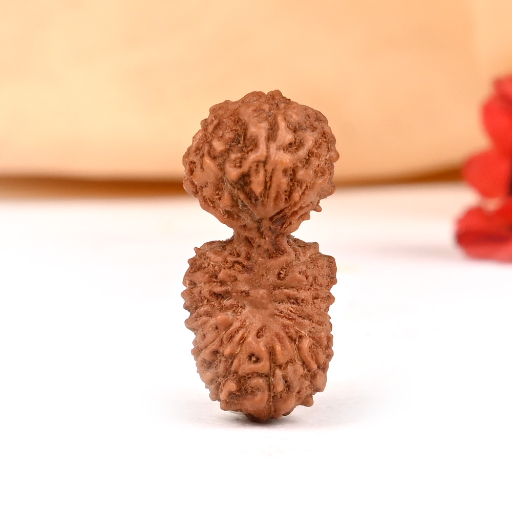 Gauri Shankar18 Mukhi from java II