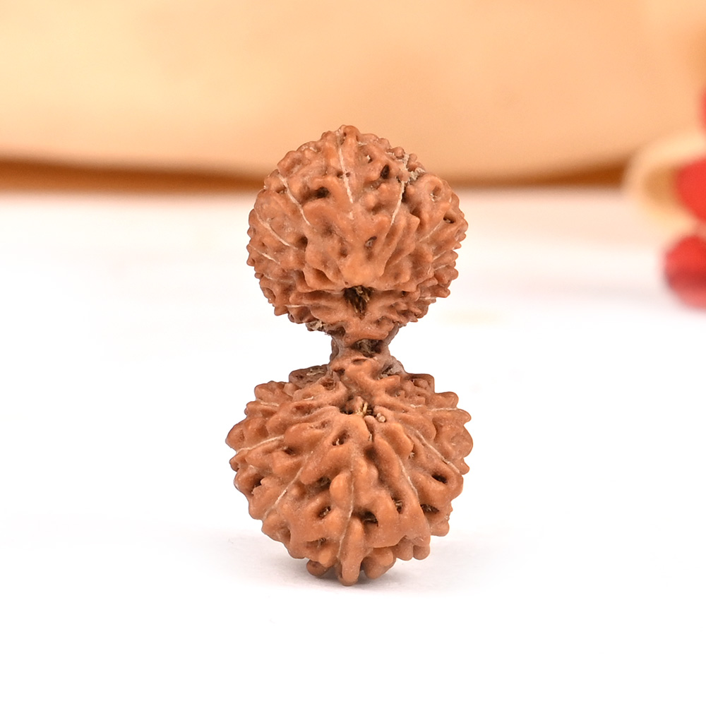 Gauri Shankar 20 Mukhi from Java IV