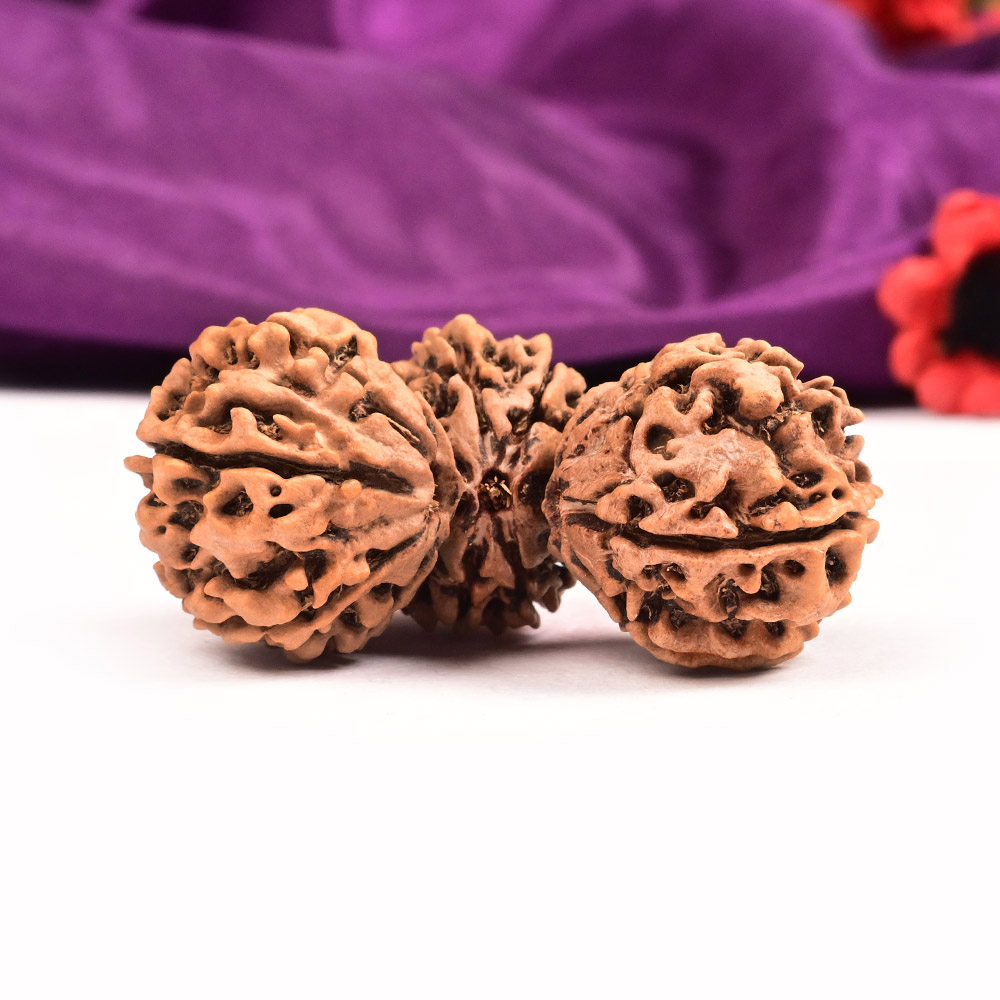 Collector Trijuti IV