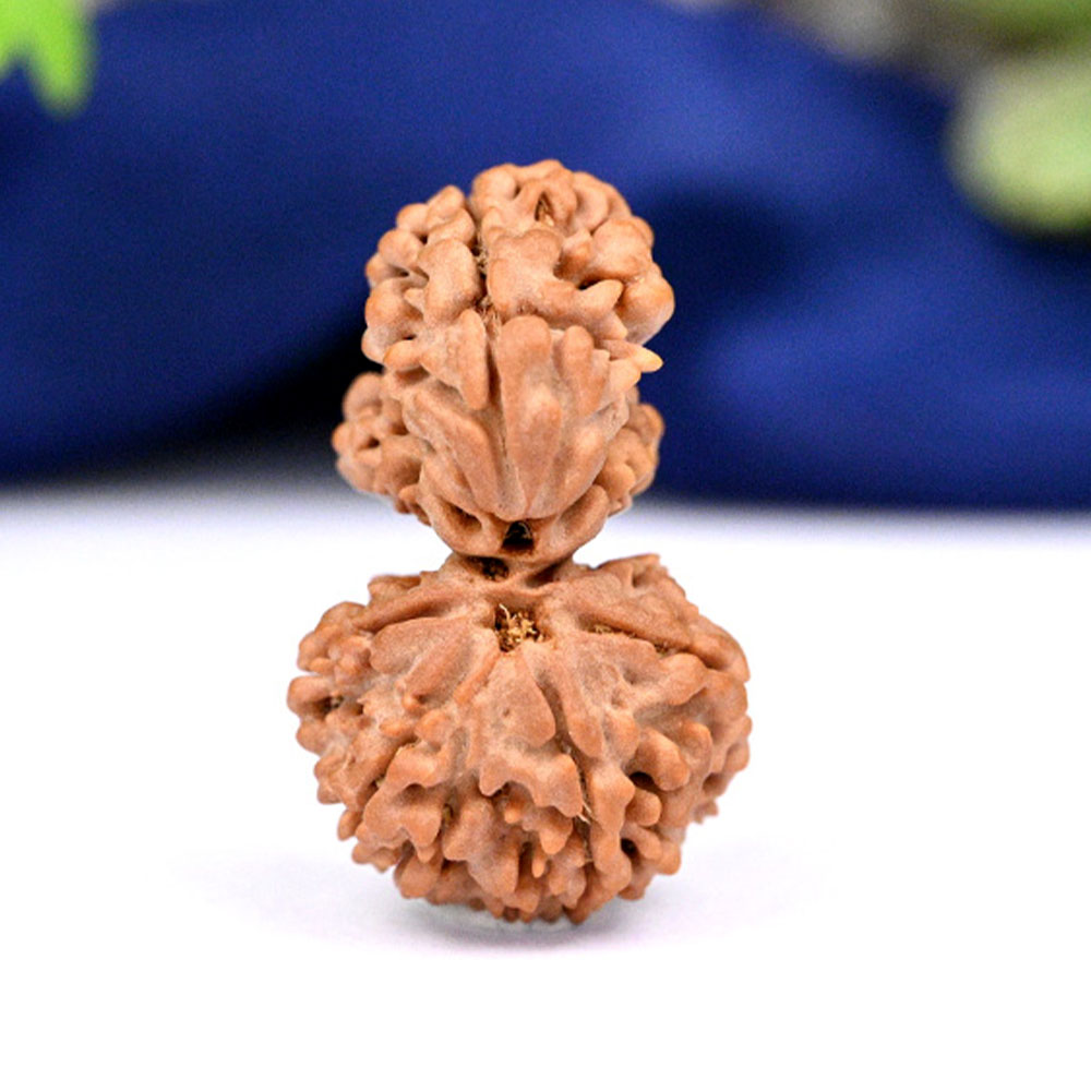 Trijuti Nepal Large - II