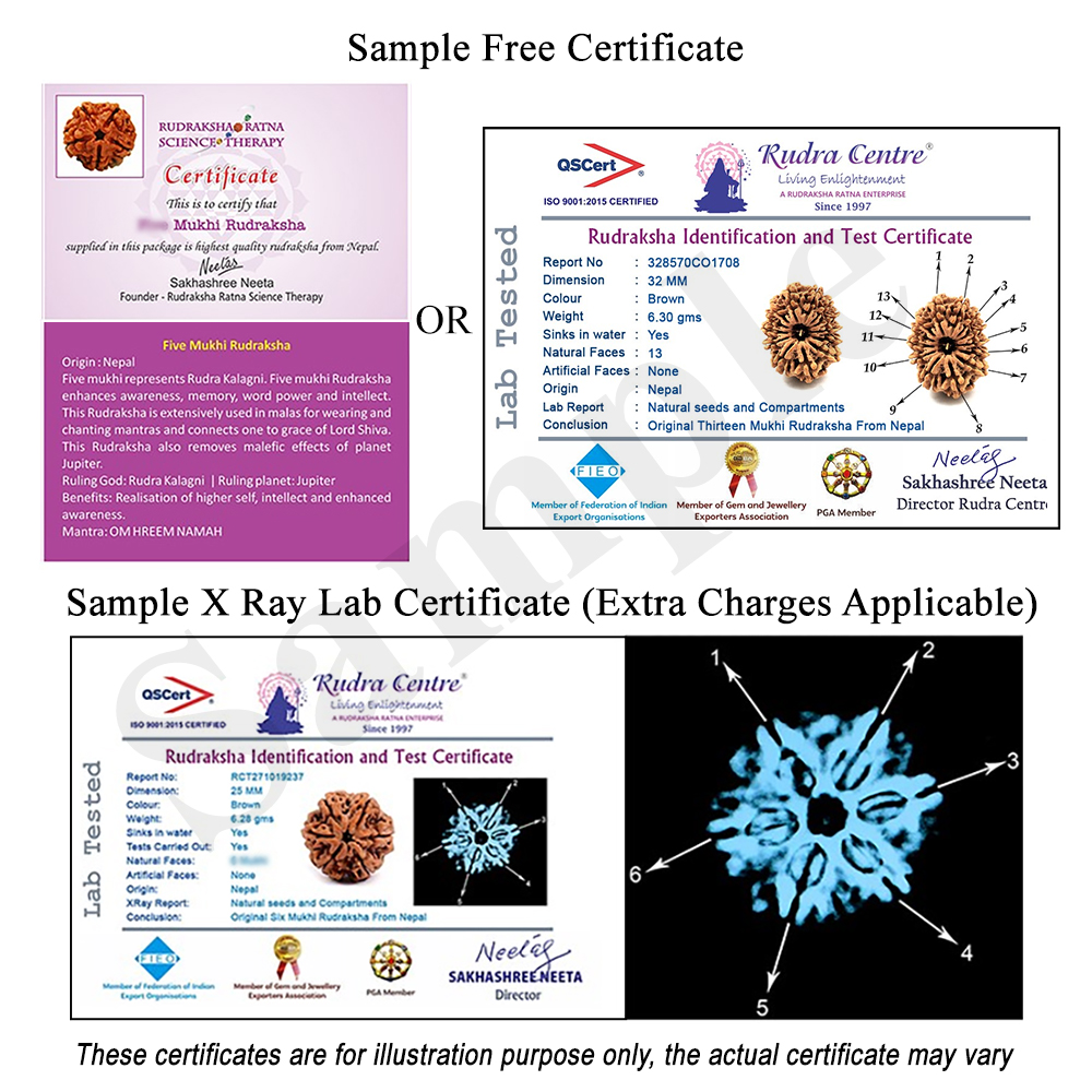 Rudraksha X-ray Lab Certificate