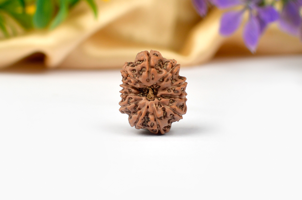 Collector Eleven Mukhi from Java