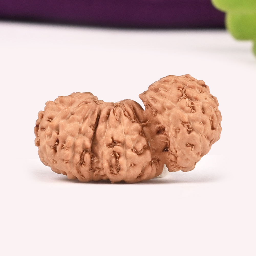 Javanese Trijuti - I