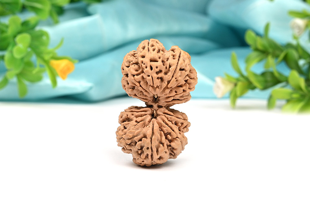 CGS11CY-1-Collector Gauri Shankar from Nepal - LXXIV