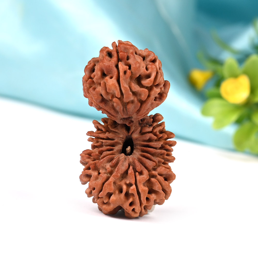 Collector Gauri Shankar 20 Mukhi from Nepal I