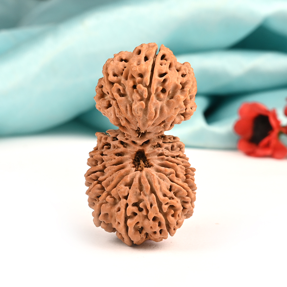 Collector Gauri Shankar 17 Mukhi from Nepal