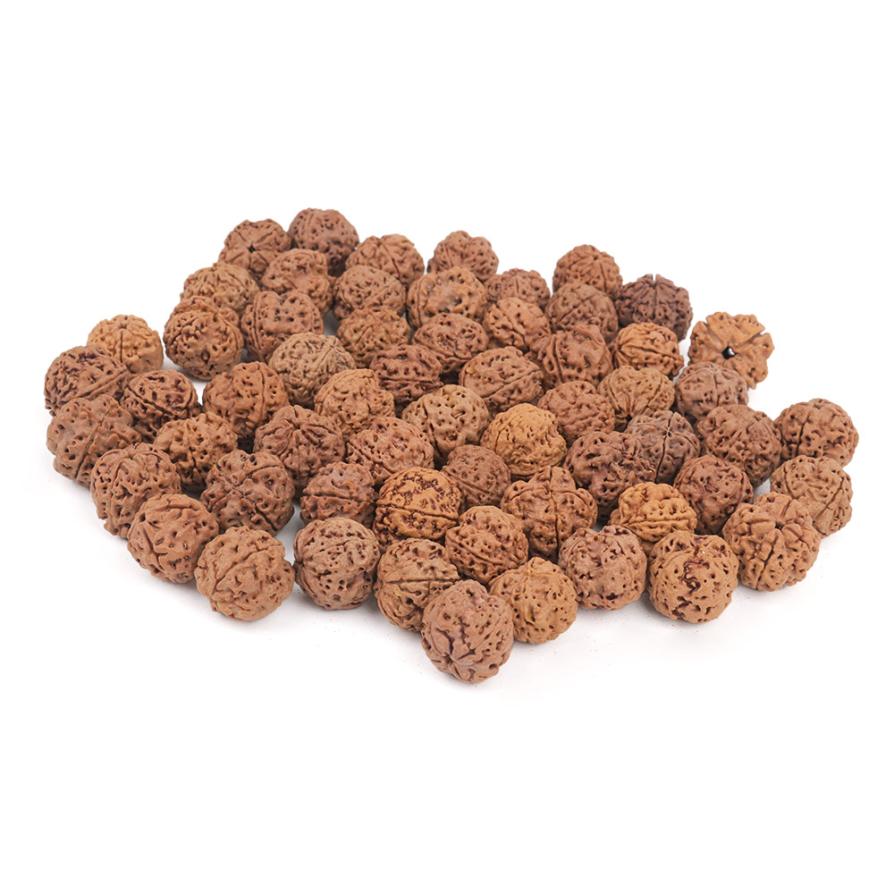 4 mukhi Nepal - Bulk bead images