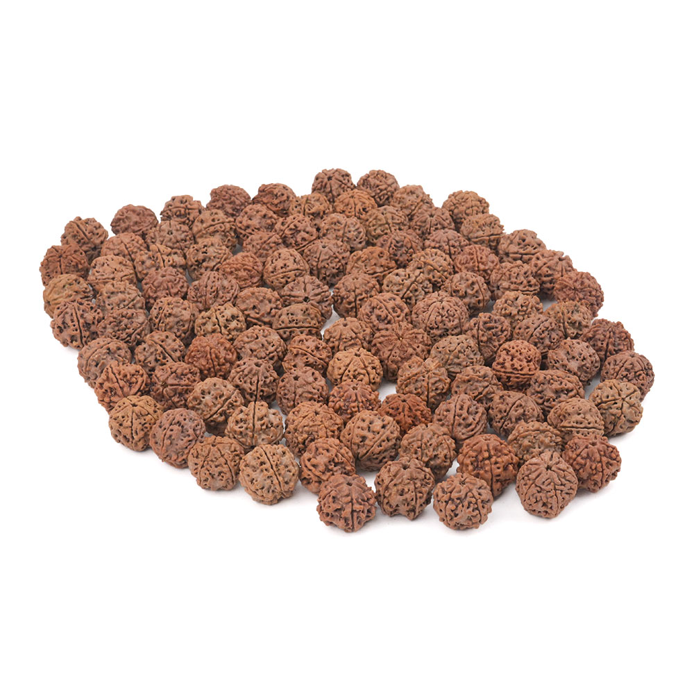 5 mukhi Nepal - Bulk bead images
