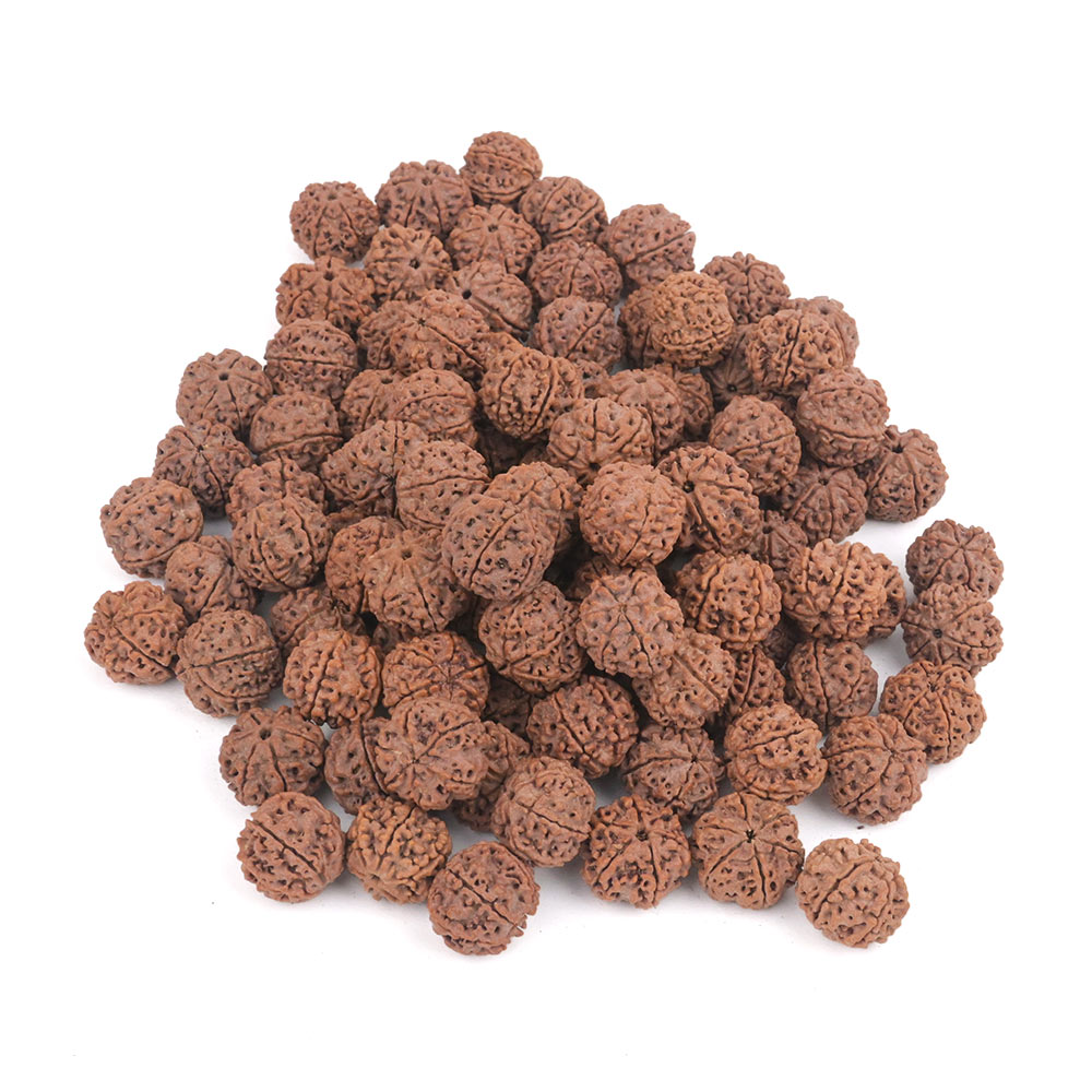 6 mukhi Nepal - Bulk bead images