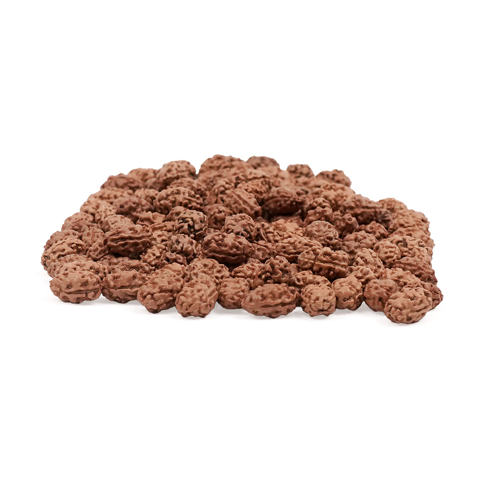 2 mukhi Java