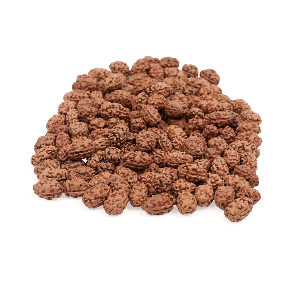 2 mukhi Java 
