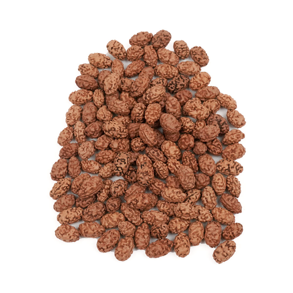 2 mukhi Java 
