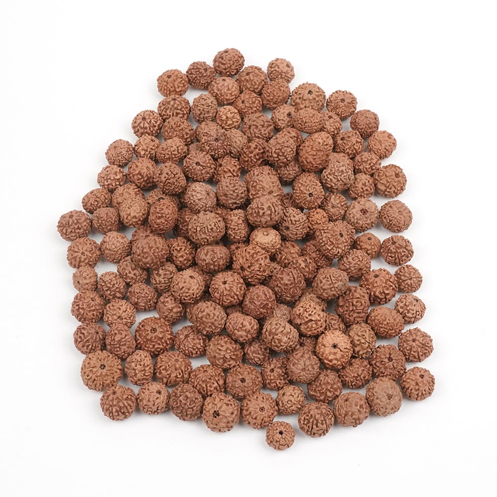 8 mukhi Java 