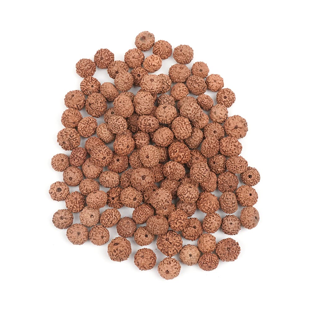 9 mukhi Java 