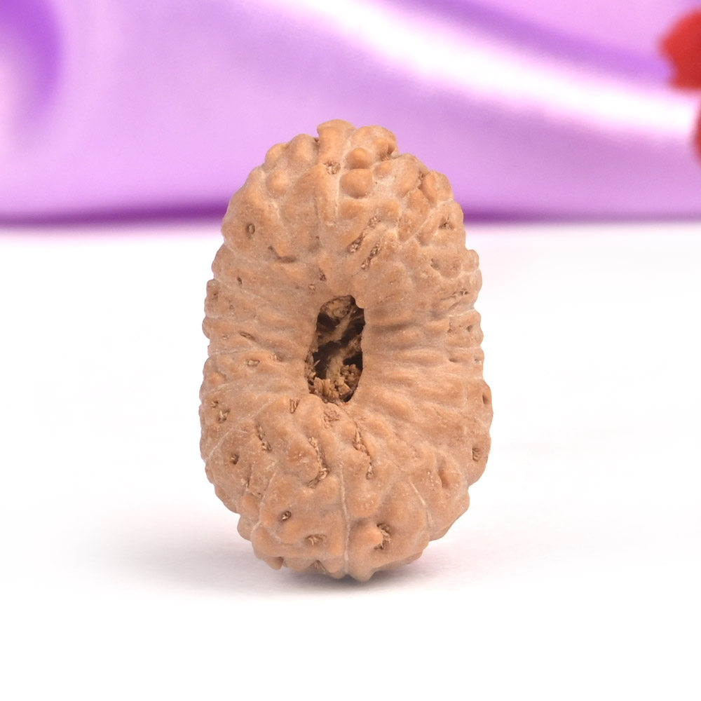 18 Mukhi Java -Collector