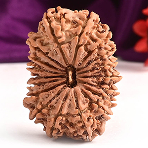 Super Collector 18 Mukhi Nepal - IX