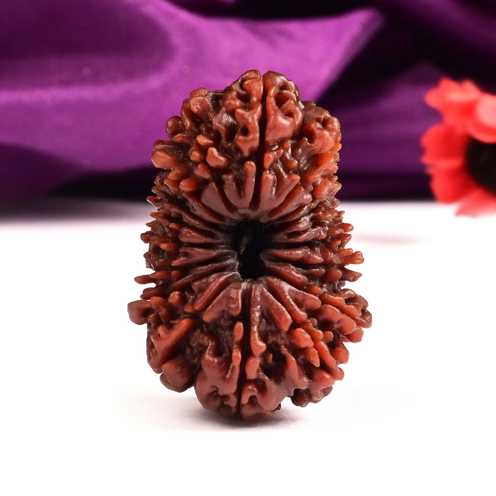 Collector Eighteen Mukhi Nepal