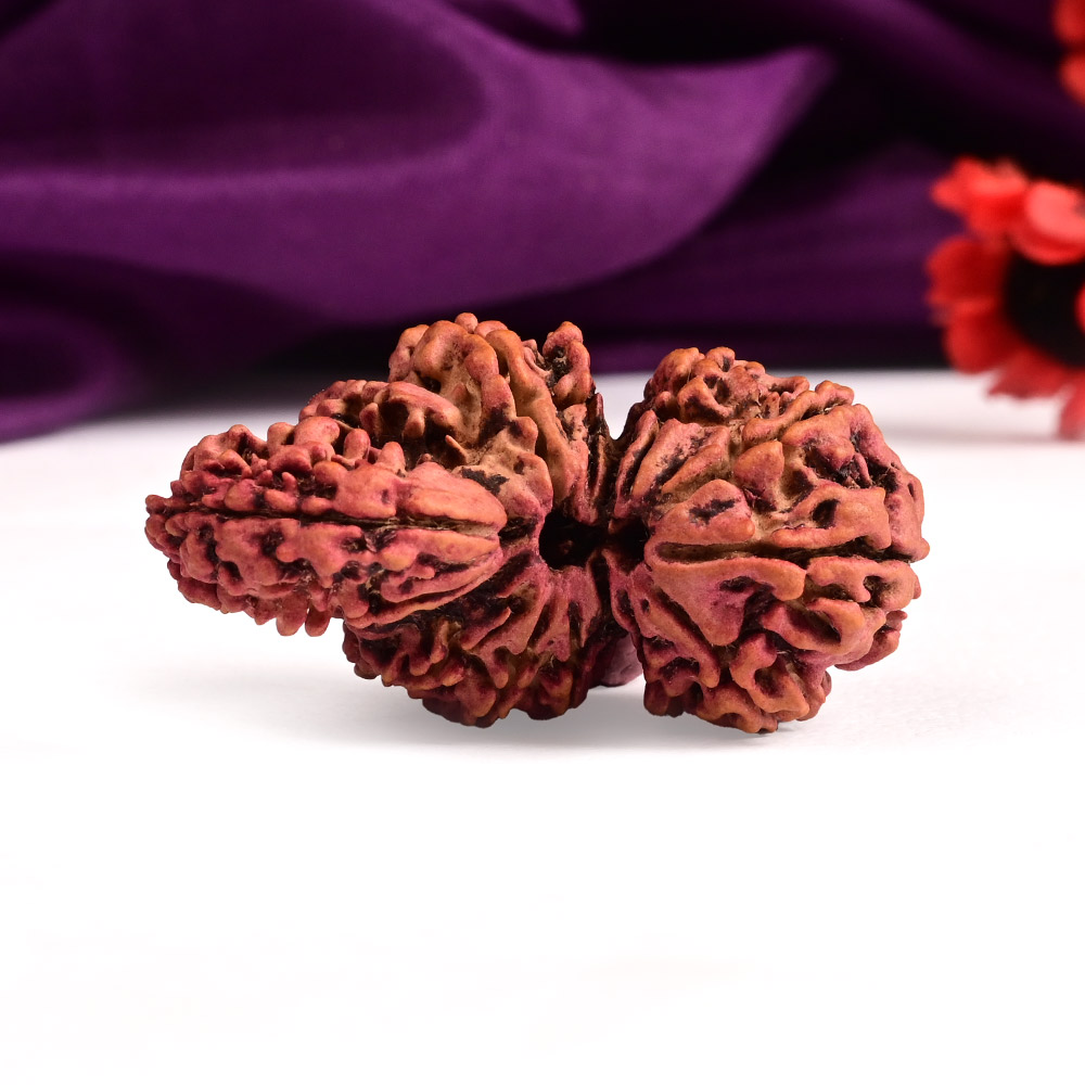 Collector Trijuti Nepal - XVIII