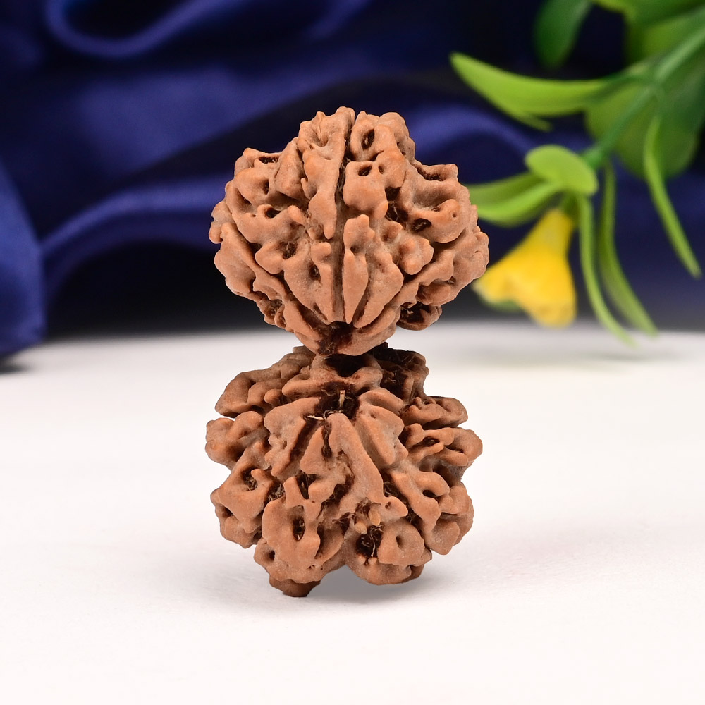 Gauri Shankar 8 Mukhi Large from Nepal - V