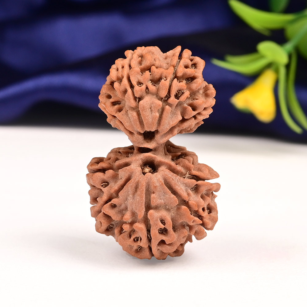 Gauri Shankar 9 Mukhi from Nepal - XXXV