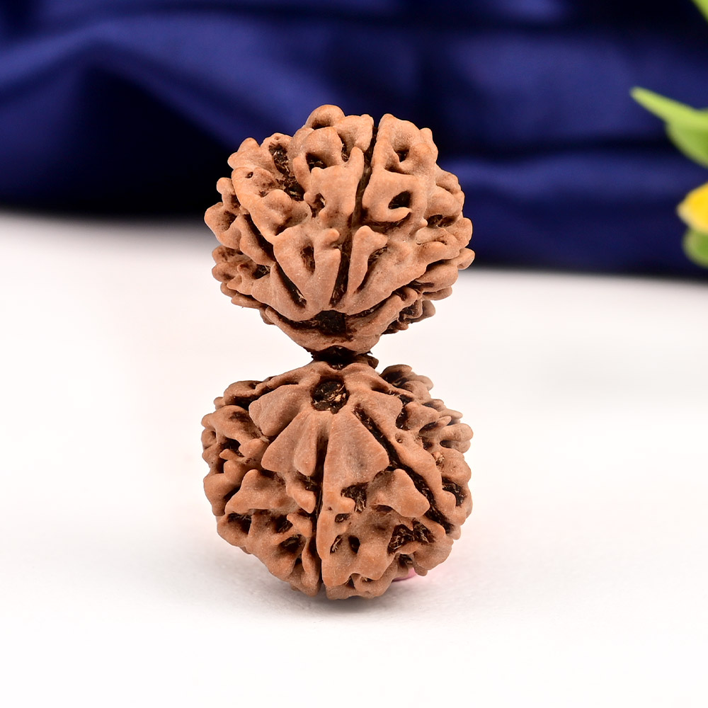 Gauri Shankar 9 Mukhi from Nepal - XXXIX