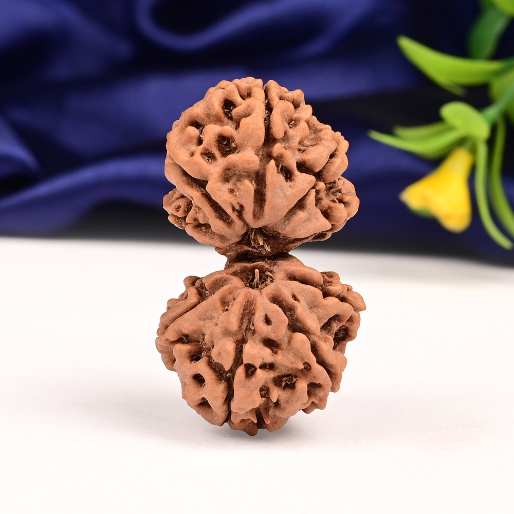 Gauri Shankar 9 Mukhi Large from Nepal - I
