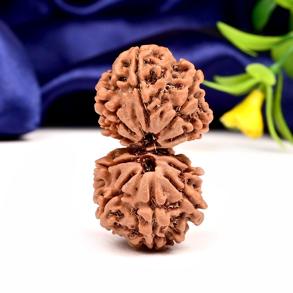 Gauri Shankar 10 Mukhi from Nepal - XXXIX