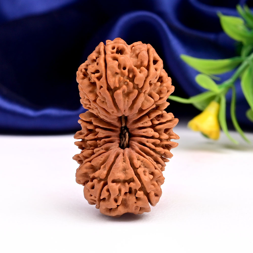 Super Collector Gauri Shankar 18 Mukhi from Nepal - I