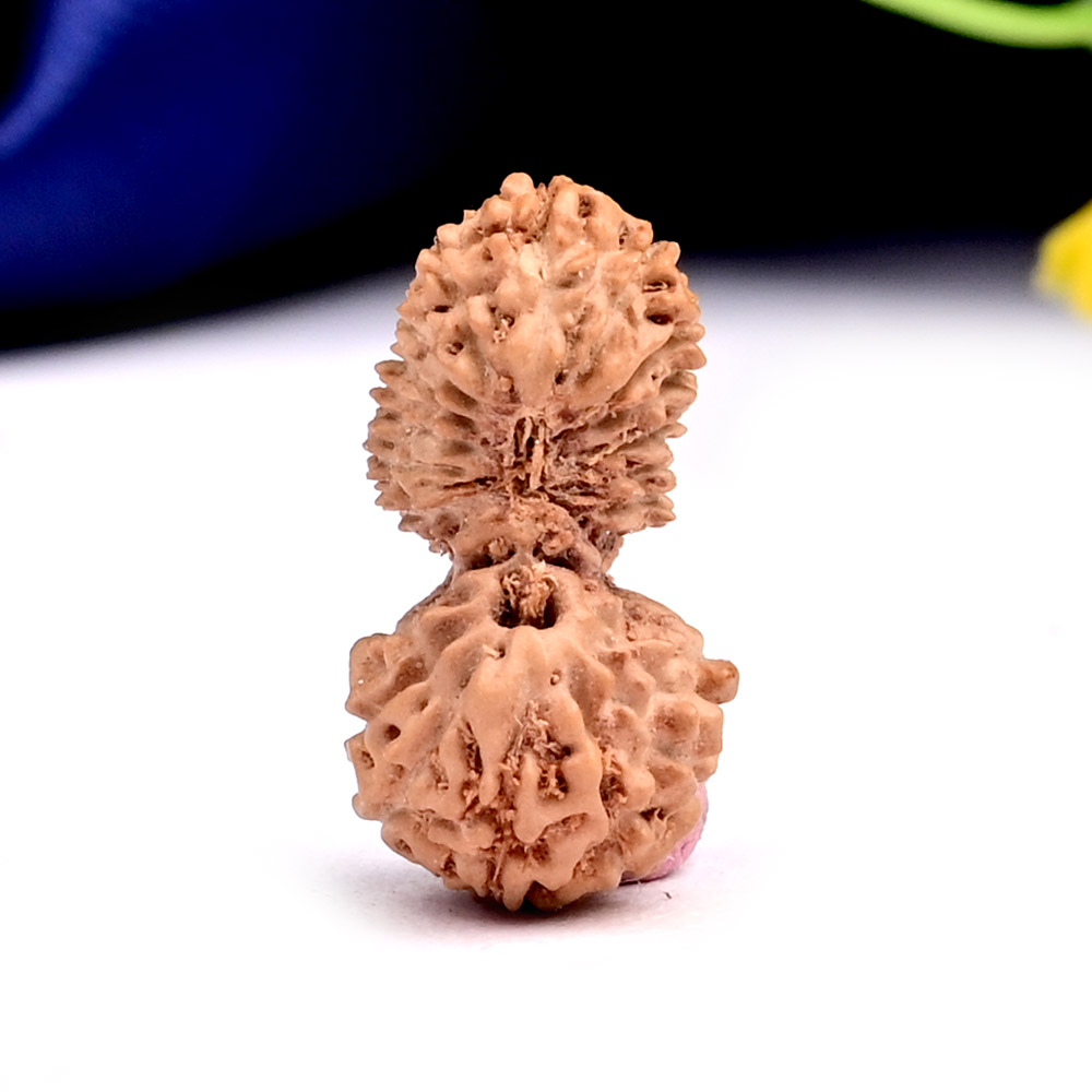 Gauri Shankar 21 Mukhi from Java Indonesia - II