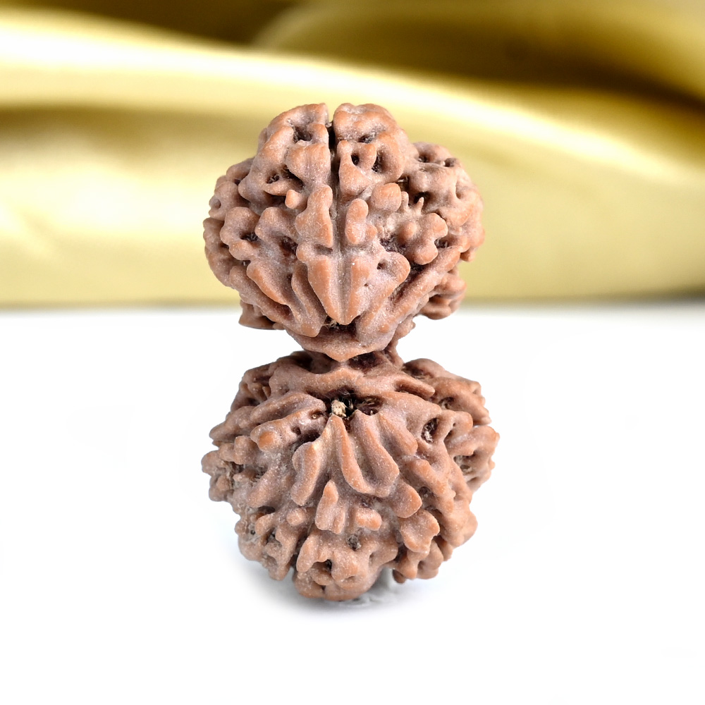 Gauri Shankar 8 Mukhi from Nepal - II