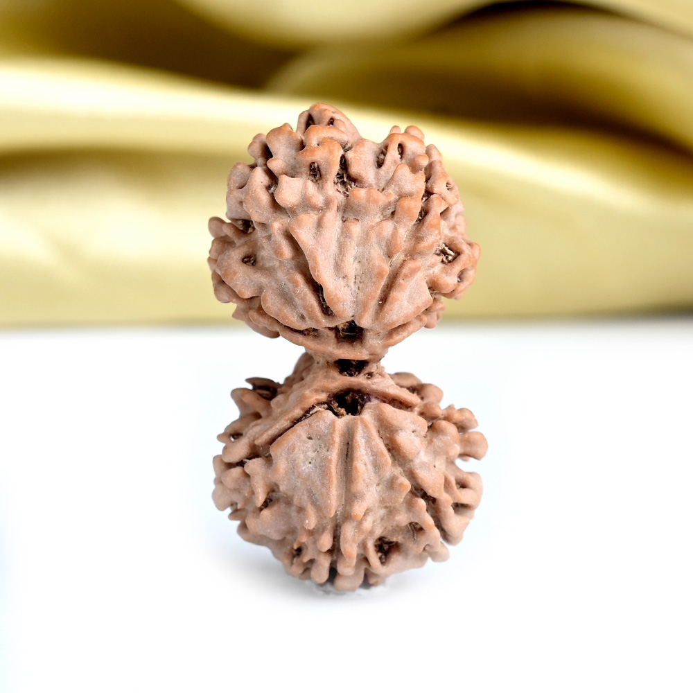 Gauri Shankar 8 Mukhi from Nepal - III