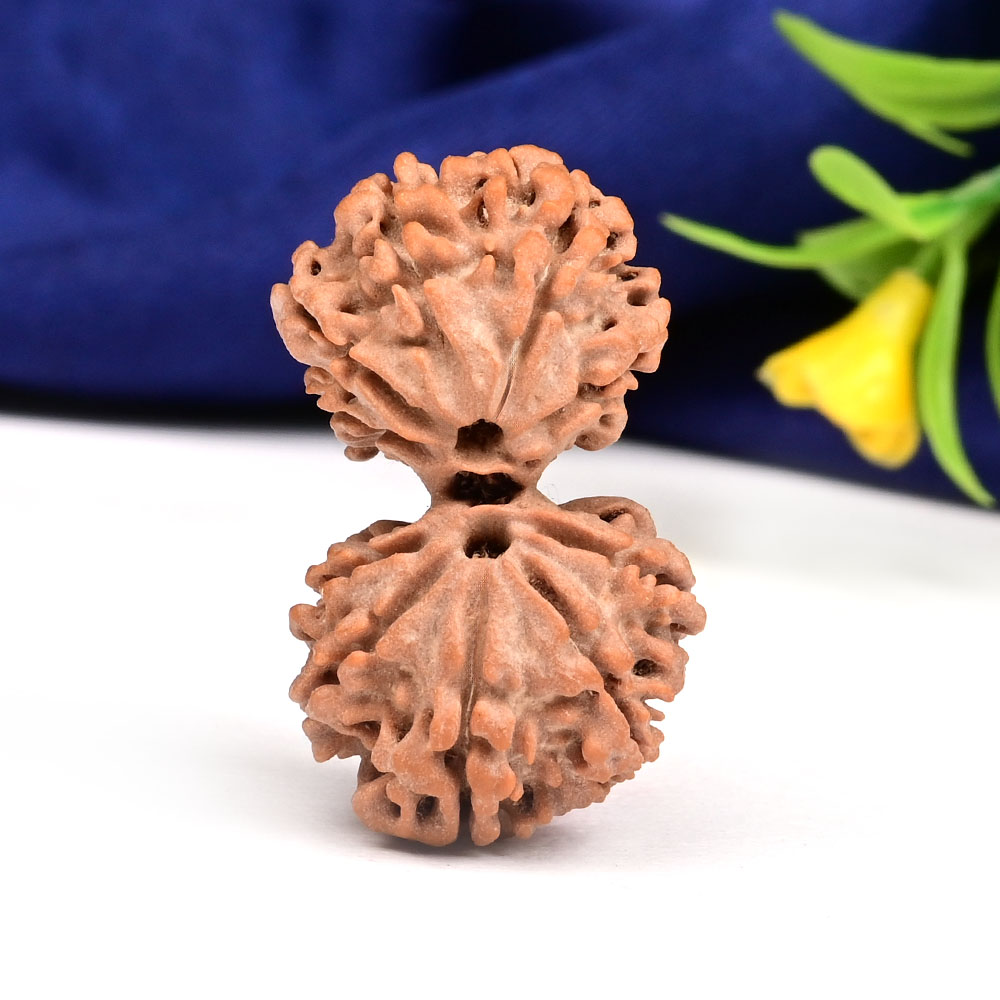Gauri Shankar 9 Mukhi from Nepal - XLII