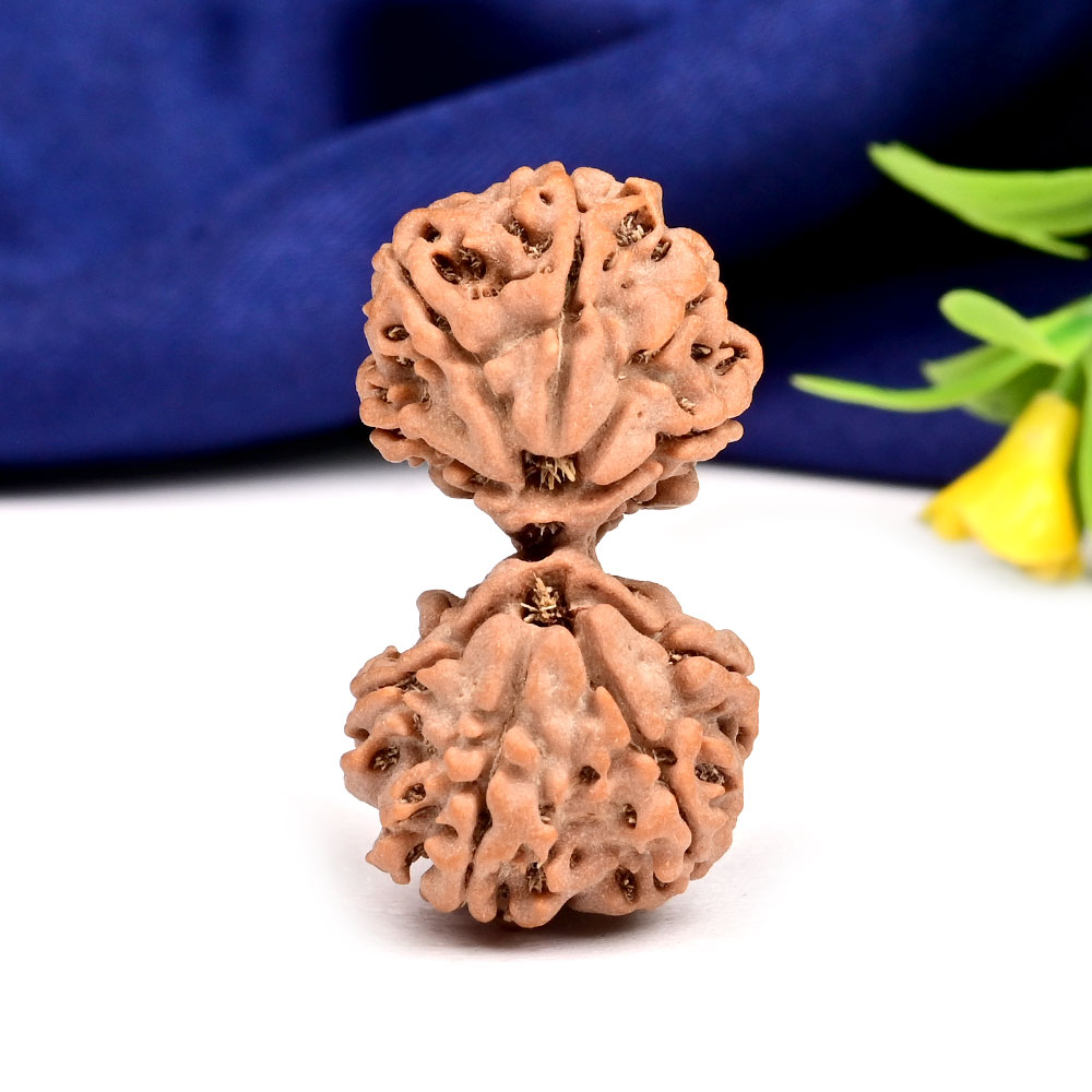 Gauri Shankar 9 Mukhi Large from Nepal - XIII