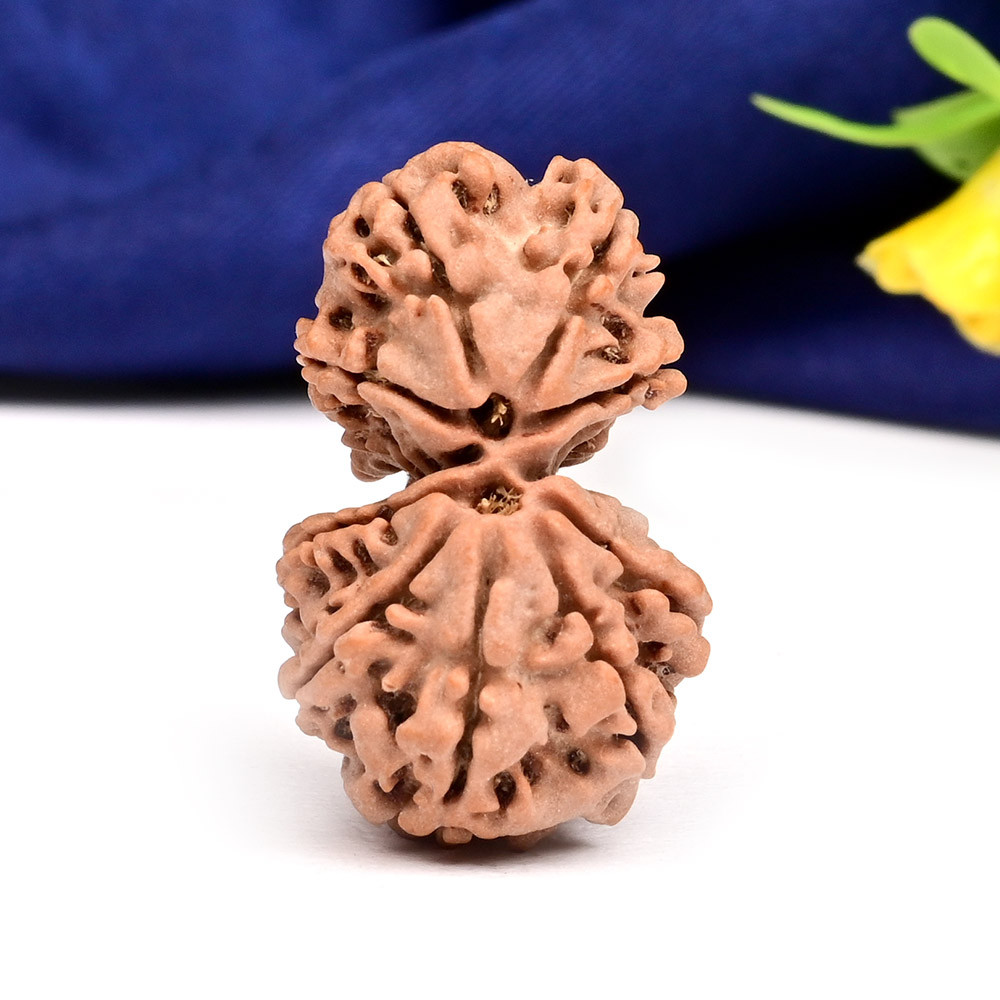 Gauri Shankar 11 Mukhi from Nepal - LXII